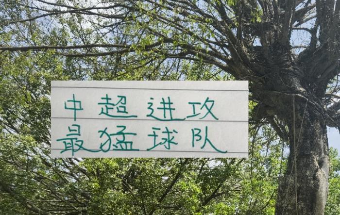 没料到！北京国安是中超攻击最猛球队 海港跟申花进球一样多